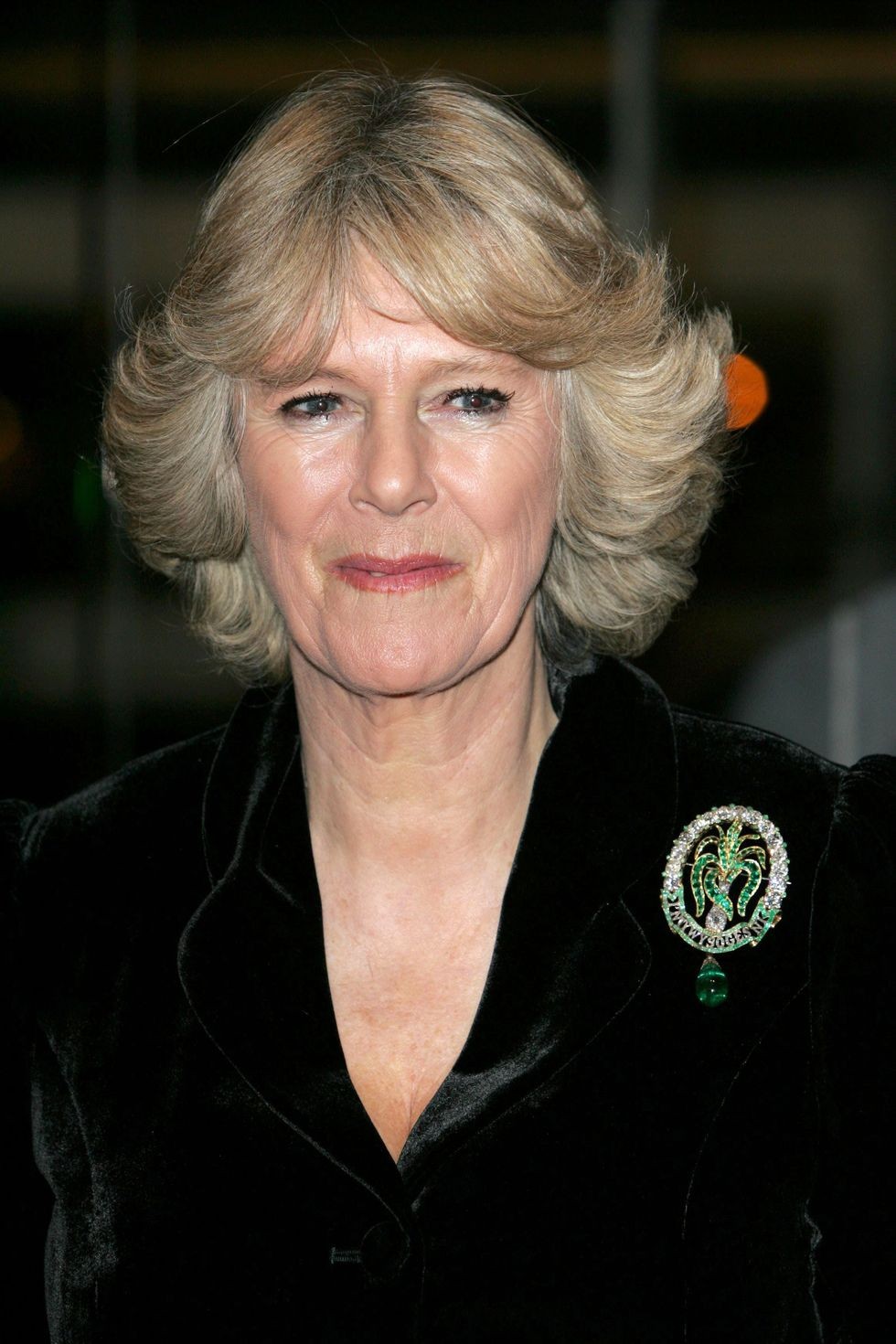 Hoàng gia Anh: Ngắm bộ sưu tập trâm cài áo xa xỉ của Hoàng hậu Camilla Hoàng gia Anh: Ngắm bộ sưu tập trâm cài áo xa xỉ của Hoàng hậu Camilla