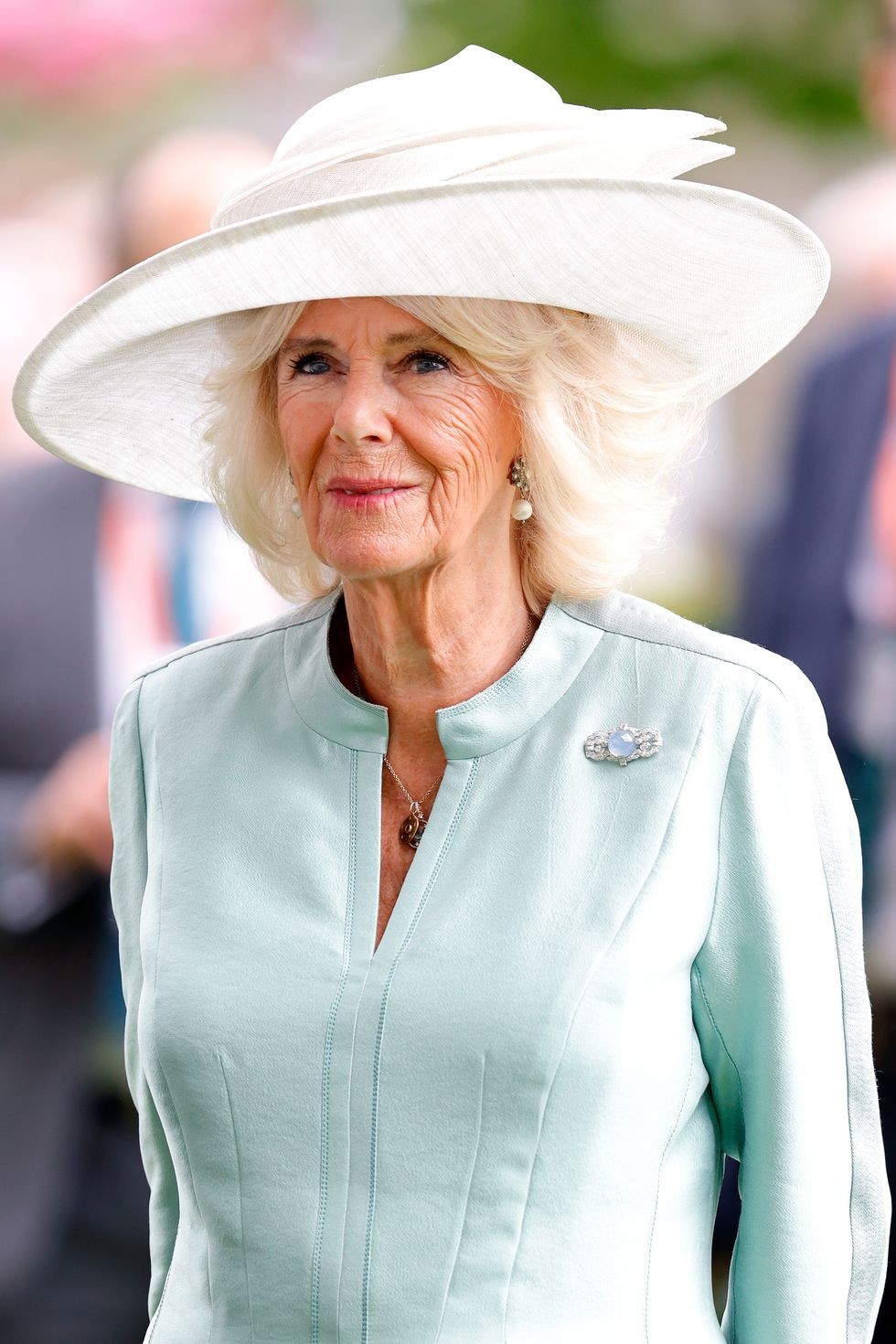Hoàng gia Anh: Ngắm bộ sưu tập trâm cài áo xa xỉ của Hoàng hậu Camilla Hoàng gia Anh: Ngắm bộ sưu tập trâm cài áo xa xỉ của Hoàng hậu Camilla
