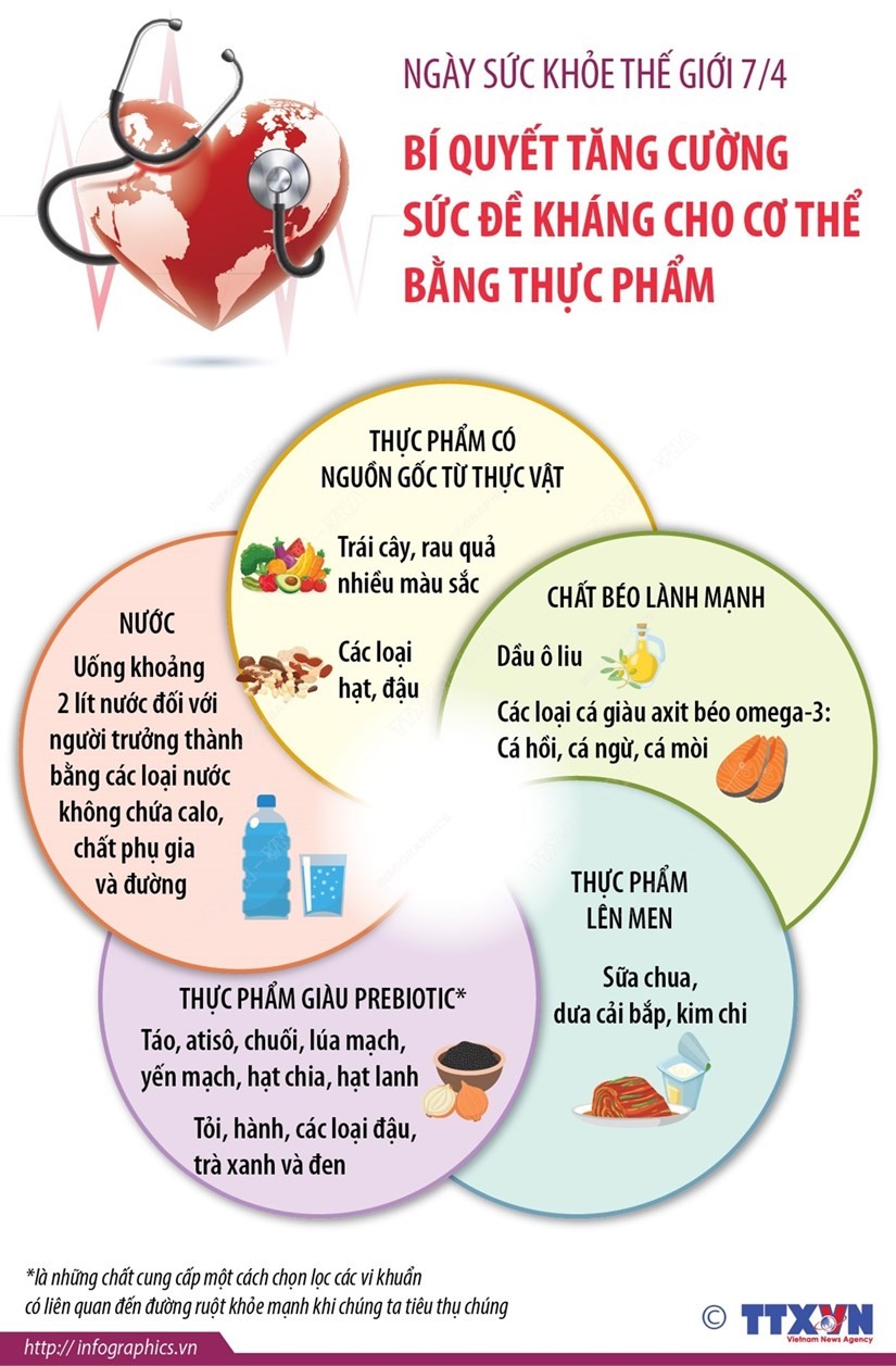 tăng sức đề kháng Ngày sức khỏe thế giới: Tăng sức đề kháng cho cơ thể bằng thực phẩm