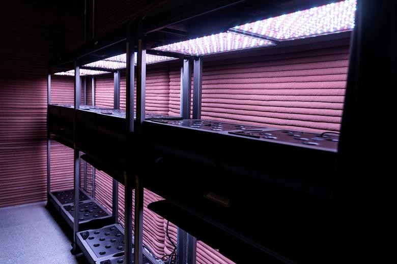 NASA công bố 'môi trường sống trên sao Hỏa'