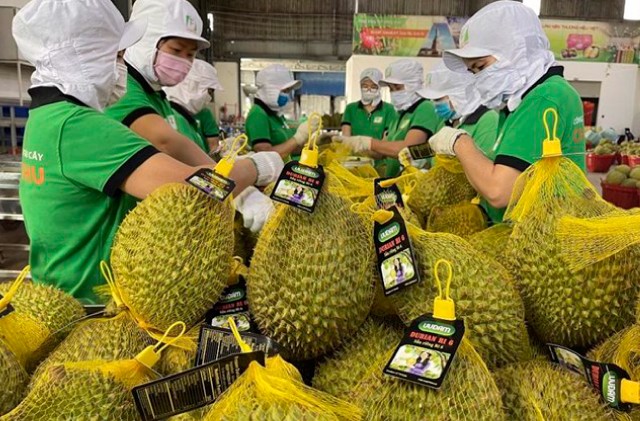 Nghị quyết số 22-NQ/TW: Đột phá về tư duy chiến lược và thực tiễn, xung lực để vững bước vào tương lai