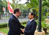 Bộ trưởng Ngoại giao Bùi Thanh Sơn đón, hội đàm với Bộ trưởng Ngoại giao Áo Alexander Schallenberg