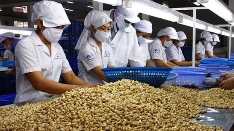 xuat khau ngay 14164 nganh dieu hoi suc tan dung ukvfta xuat khau ca ngu sang anh tang gap 3 lan