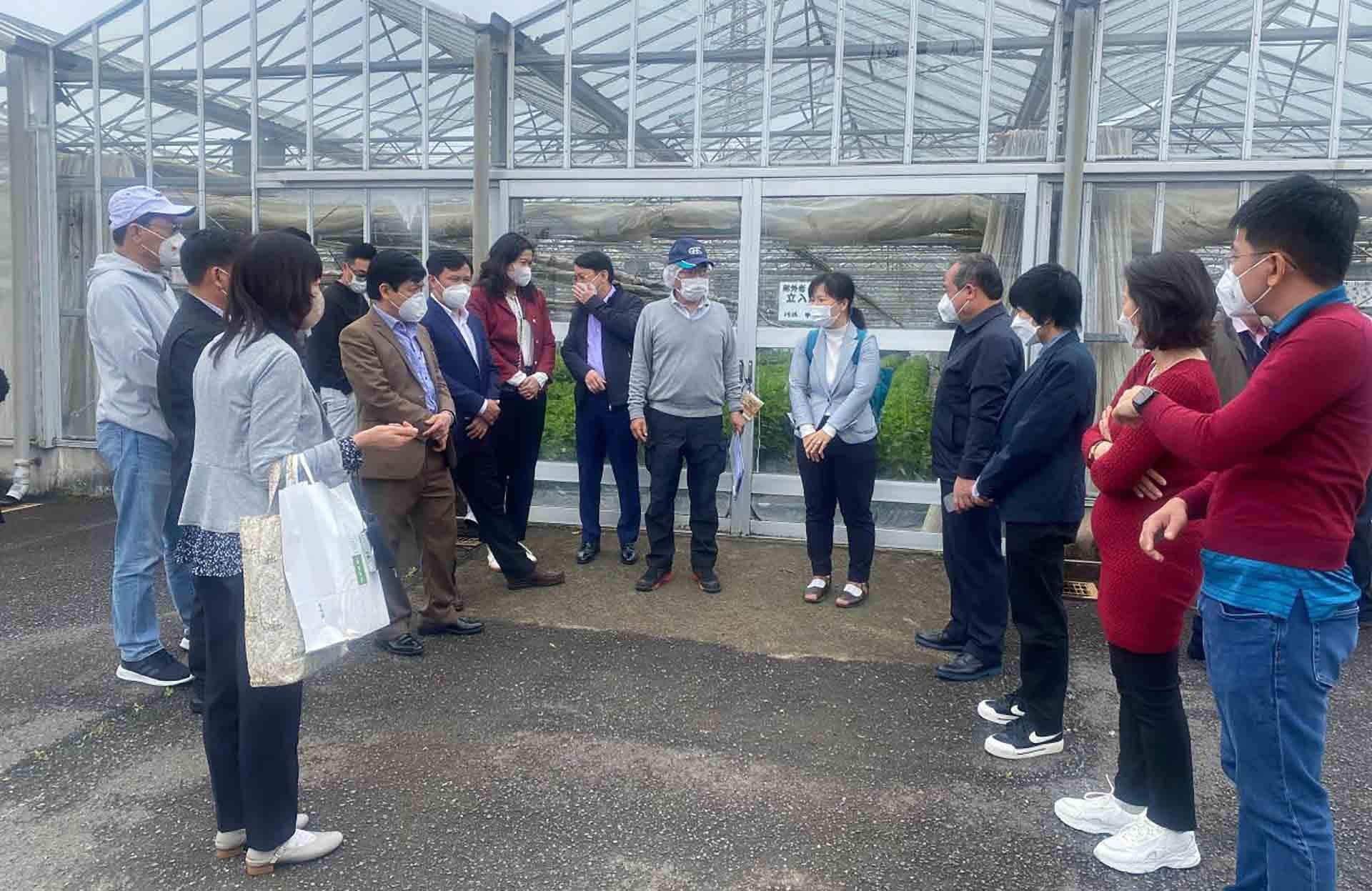 Quảng Ngãi ký kết biên bản ghi nhớ hợp tác cung ứng nguồn nhân lực với tỉnh Oita, Nhật Bản