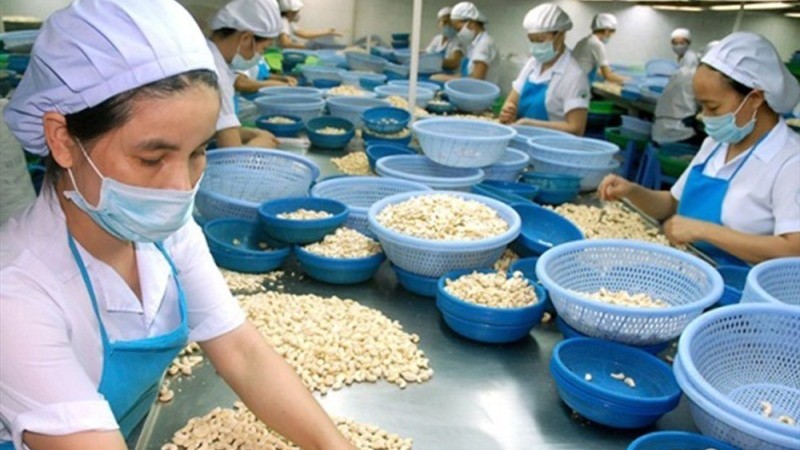 sau italy canh bao nong nguy co lua dao xuat khau tu thi truong algeria