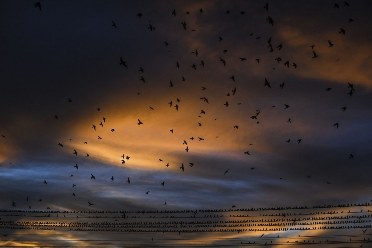 Ảnh ấn tượng tuần (17-23/4): Tổng thống Nga Putin thị sát Kherson, tương lai của Ukraine là thành viên NATO, Moscow-Bắc Kinh 'kề vai sát cánh'