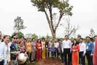 Thứ trưởng Phạm Quang Hiệu: Công tác đại đoàn kết, hòa hợp dân tộc đã đạt nhiều kết quả quan trọng