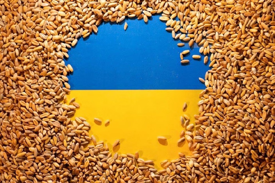 EU hành động, ngũ cốc Ukraine thoát 'hiểm cảnh' ở 5 nước châu Âu. (Nguồn: Reuters) EU hành động, ngũ cốc Ukraine thoát 'hiểm cảnh' ở 5 nước châu Âu. (Nguồn: Reuters)