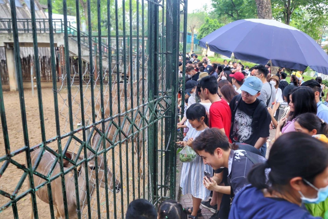 Dịp nghỉ lễ 30/4-1/5, công viên Thủ Lệ thu hút hàng nghìn lượt khách/ngày