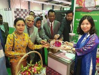 Quảng bá thanh long Việt Nam tại Karachi, Pakistan