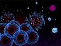 Nhật Bản: Phân lập vi khuẩn trong khối u có hiệu quả chống ung thư mạnh mẽ