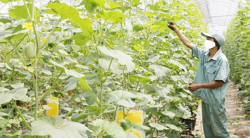 ASEAN 42: Nhất trí thành lập Mạng lưới làng khu vực, thúc đẩy chuyển dịch nông thôn. (Nguồn: Hanoimoi)