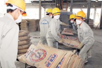 Doanh nghiệp 'khóc ròng' vì xuất khẩu xi măng giảm kỷ lục