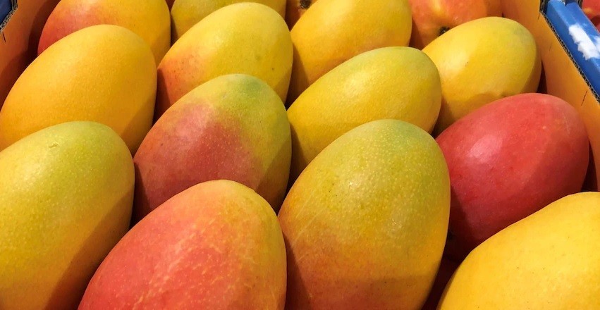 Những thực phẩm giải khát tốt nhưng sẽ gây tăng cân nếu ăn nhiều trong mùa Hè