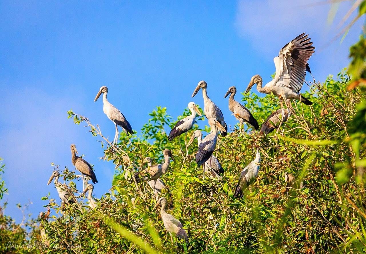 Lung Ngọc Hoàng có hệ sinh thái phong phú với nhiều loài động thực vật quý hiếm