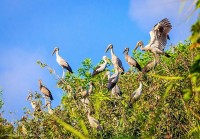 Khu bảo tồn thiên nhiên Lung Ngọc Hoàng: Nét duyên của Lung Trời giữa đồng bằng