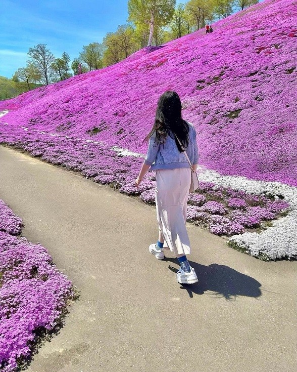 Nhật Bản: Cánh đồng hoa