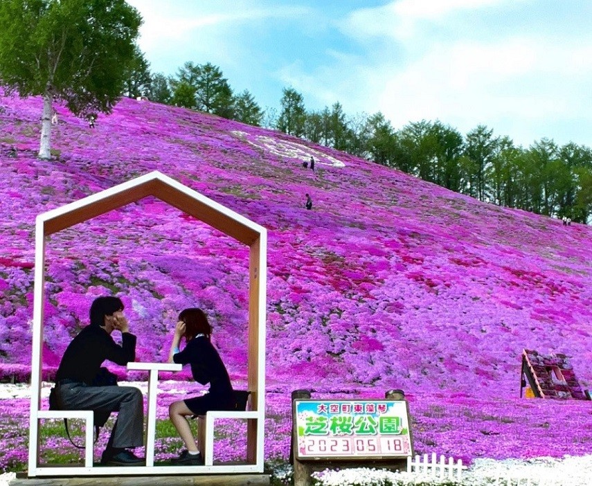 Nhật Bản: Cánh đồng hoa