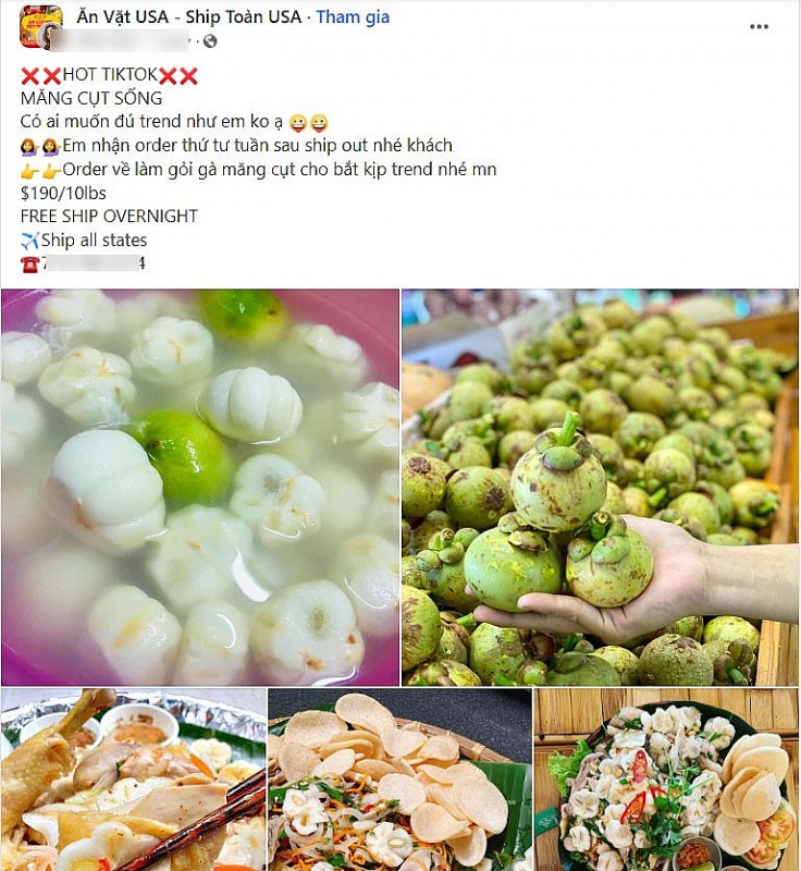 Không chỉ hot trong nước, Măng cụt xanh Việt Nam đi máy bay sang Mỹ, giá gần 3 triệu đồng/kg