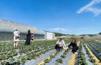 Du lịch nông nghiệp - sức bật mới cho ngành du lịch tỉnh Thừa Thiên Huế