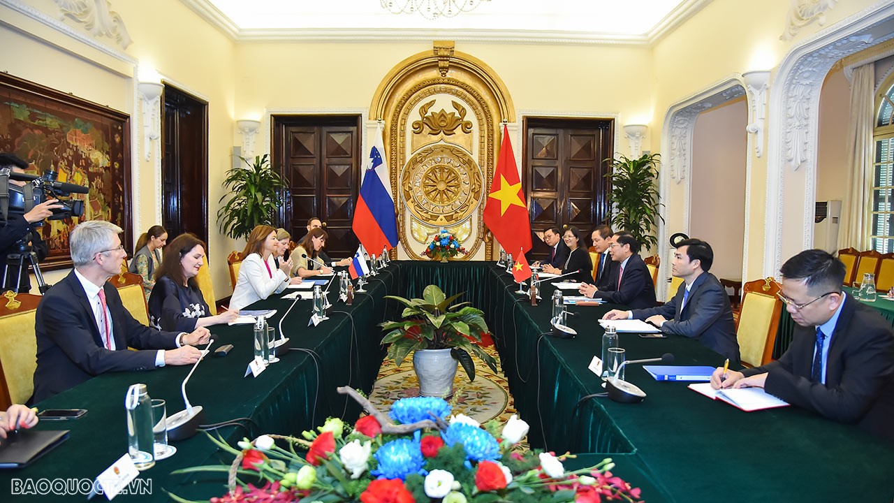 Slovenia có thế mạnh về các sản phẩm có hàm lượng công nghệ cao, có thể giúp Việt Nam tăng chất lượng sản phẩm, từ đó có thể xuất ngược trở lại châu Âu và các thị trường lớn khác như Trung Quốc, Mỹ… Slovenia có công nghệ hạt nhân để phục vụ dân sự rất phát triển cùng với các thế mạnh khác như năng lượng sạch. Đây là các lĩnh vực ta có thể hợp tác.