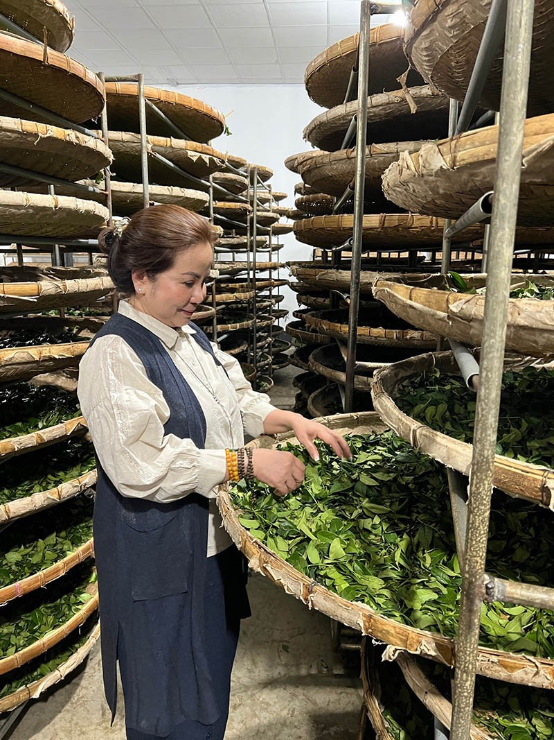 Nâng niu, chăm chút trong từng búp chè.