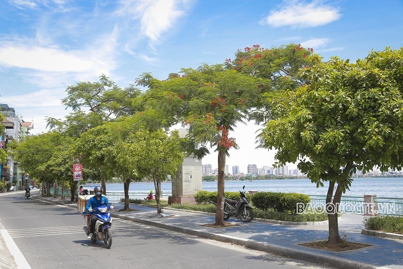 Dự báo thời tiết đêm nay và ngày mai (2-3/6): Hà Nội nắng nóng gay gắt; Bắc-Nam Bộ chiều, tối có mưa to cục bộ; Bắc Trung Bộ nắng nóng gay gắt trên 39