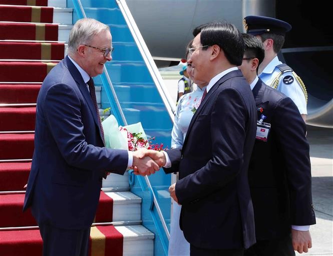 Bộ trưởng, Chủ nhiệm Văn phòng Chính phủ Trần Văn Sơn đón Thủ tướng Australia Anthony Albanese tại sân bay quốc tế Nội Bài. (Nguồn: TTXVN) Bộ trưởng, Chủ nhiệm Văn phòng Chính phủ Trần Văn Sơn đón Thủ tướng Australia Anthony Albanese tại sân bay quốc tế Nội Bài. (Nguồn: TTXVN)