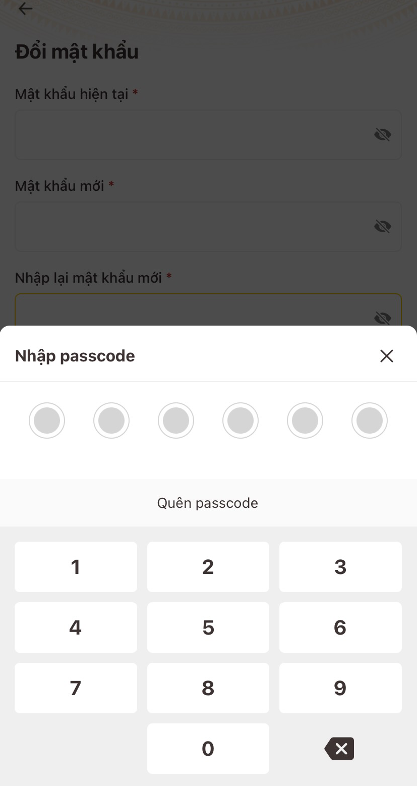 Hướng dẫn cách đổi mật khẩu, passcode VNeID Hướng dẫn cách đổi mật khẩu, passcode VNeID