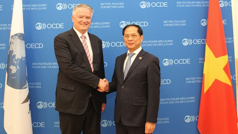 oecd khang dinh tiep tuc dong hanh cung viet nam trong phat trien kinh te theo huong xanh va ben vung