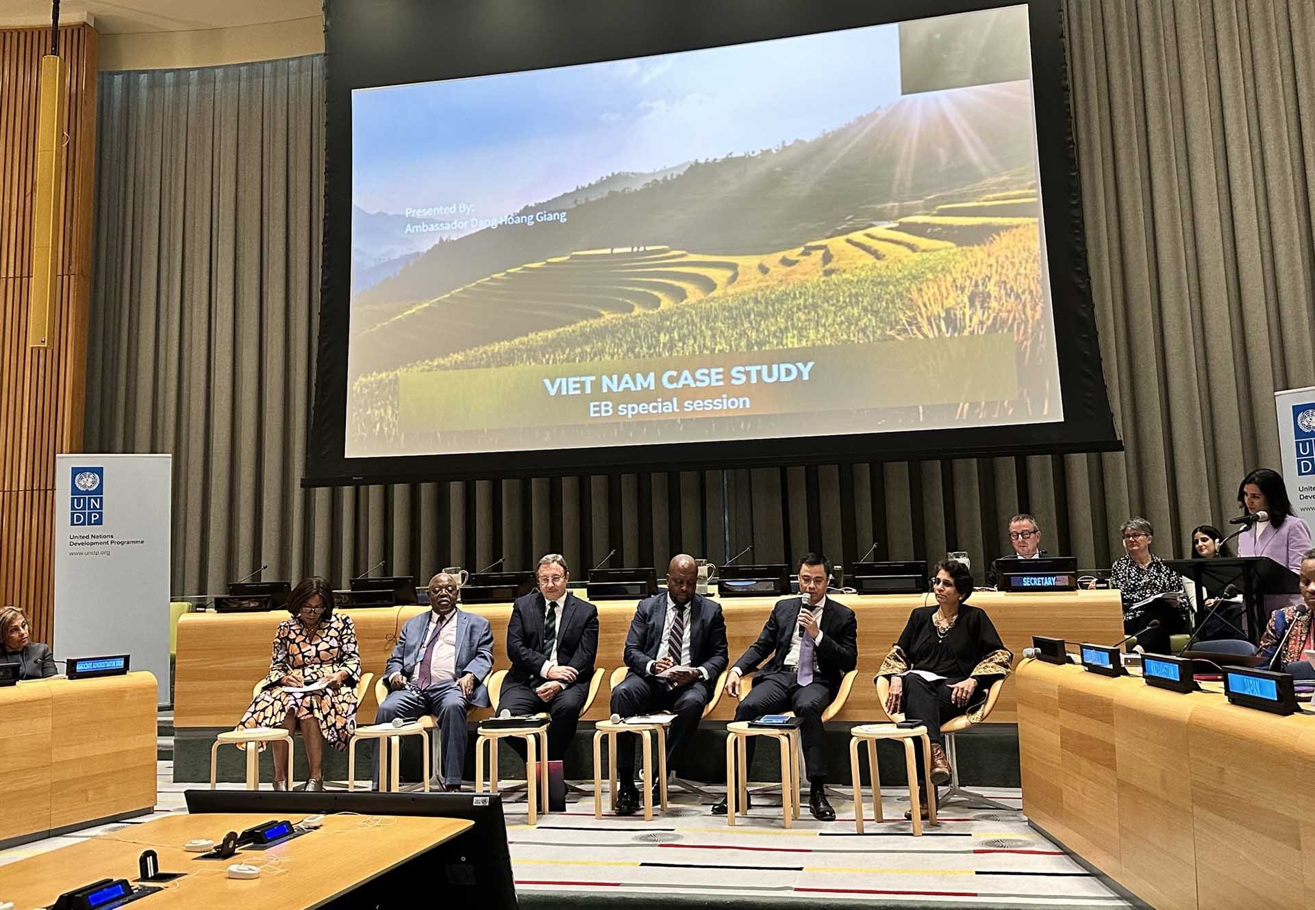 Đại sứ Đặng Hoàng Giang được mời làm diễn giả chính tại phiên họp để chia sẻ bài học thành công của Việt Nam.