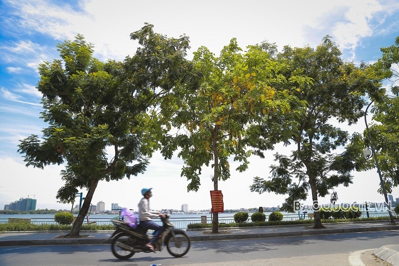 Dự báo thời tiết đêm nay và ngày mai (7-8/6): Hà Nội ngày nắng; Bắc Bộ và Thanh Hóa chiều, tối có mưa lớn và giông; Nam Bộ chiều, đêm mưa to cục bộ
