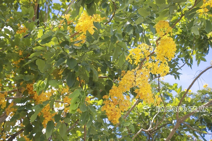 Dự báo thời tiết đêm nay và ngày mai (9-10/6): Hà Nội đêm không mưa, ngày nắng; Bắc Bộ, Trung Bộ có nắng nóng; phía Nam chiều, tối mưa vừa mưa to