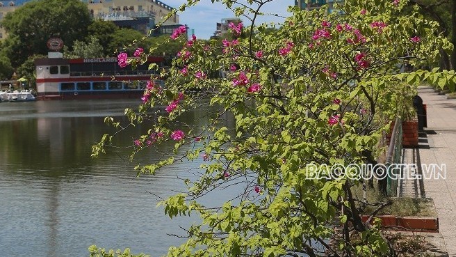 Dự báo thời tiết: Ngày 13/6, nắng nóng ở Bắc Bộ giảm dần; Trung Bộ gia tăng nắng nóng và kéo dài nhiều ngày