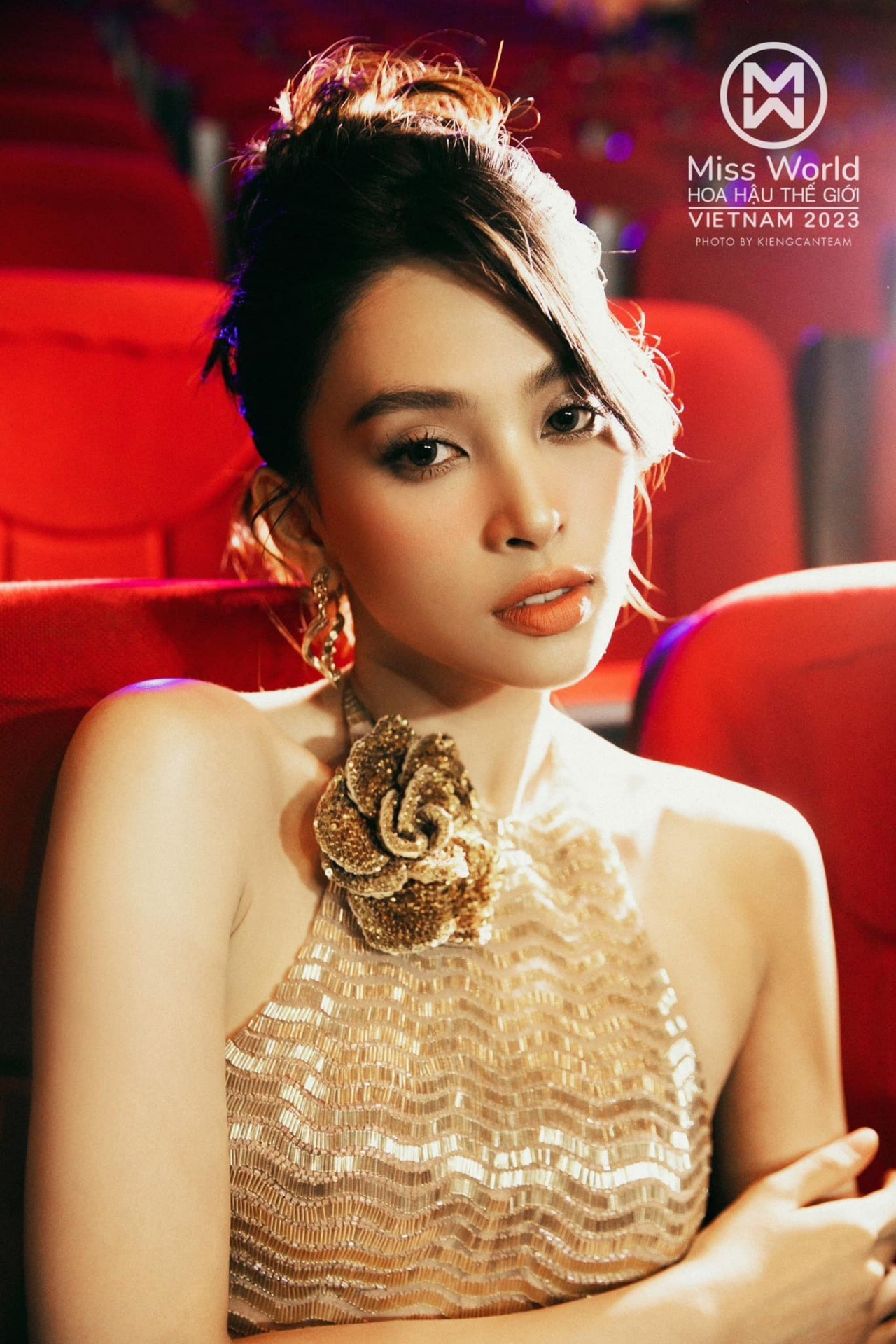 Hoa hậu Tiểu Vy Hoa hậu Tiểu Vy