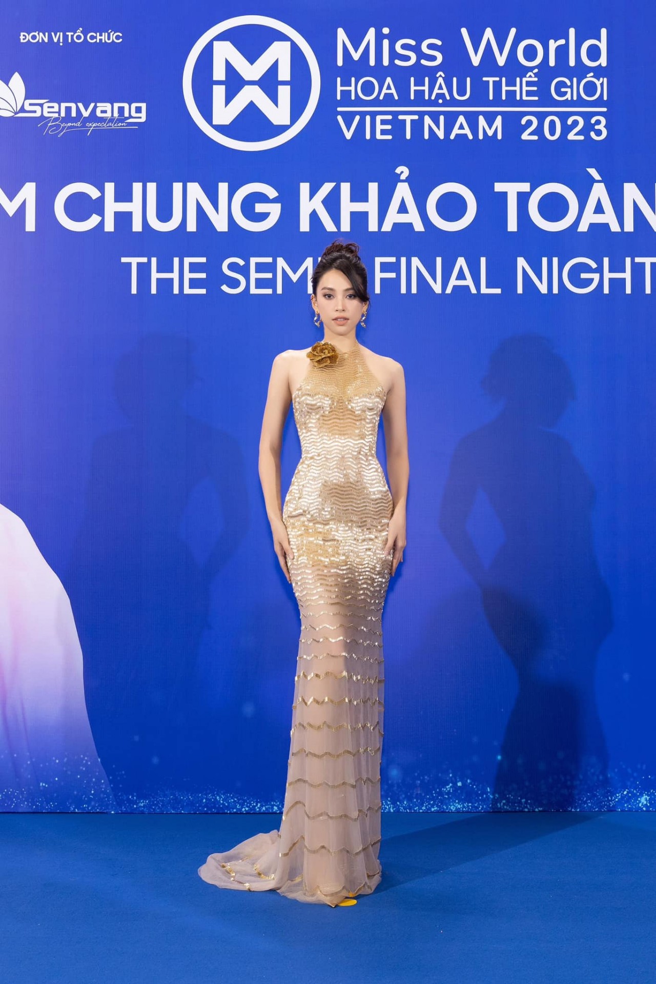 Hoa hậu Tiểu Vy Hoa hậu Tiểu Vy