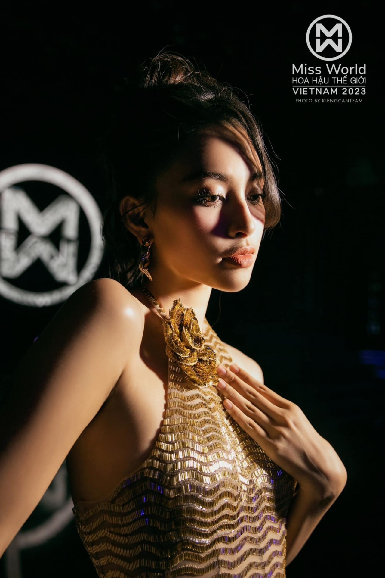 Hoa hậu Tiểu Vy Hoa hậu Tiểu Vy