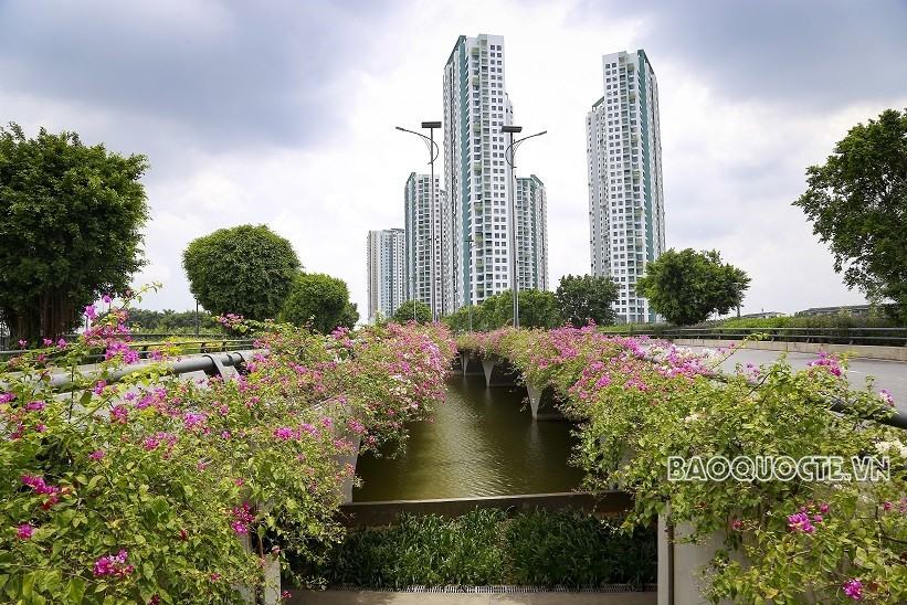 Dự báo thời tiết đêm nay và ngày mai (12-13/6): Dự báo thời tiết đêm nay và ngày mai (12-13/6):