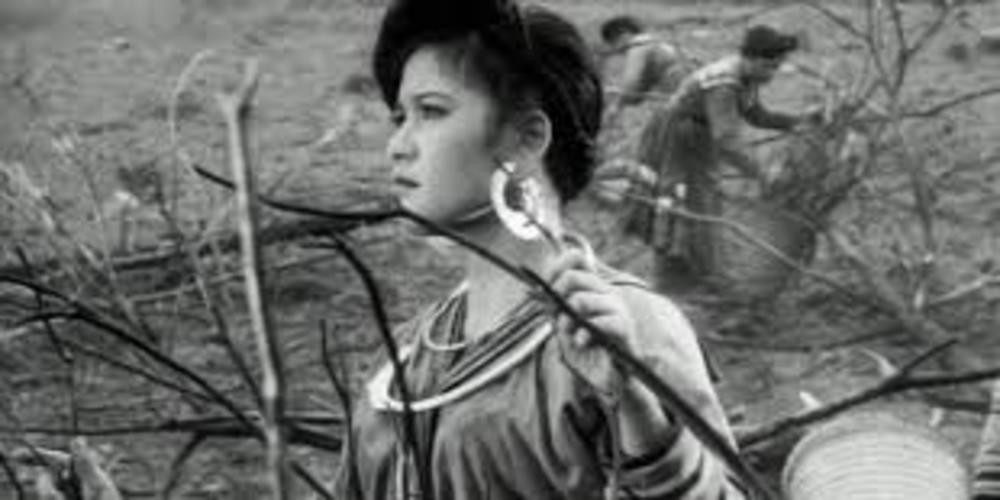 Bảo tồn di sản điện ảnh Việt Nam là trách nhiệm chung của ngành công nghiệp điện ảnh Bảo tồn di sản điện ảnh Việt Nam là trách nhiệm chung của ngành công nghiệp điện ảnh