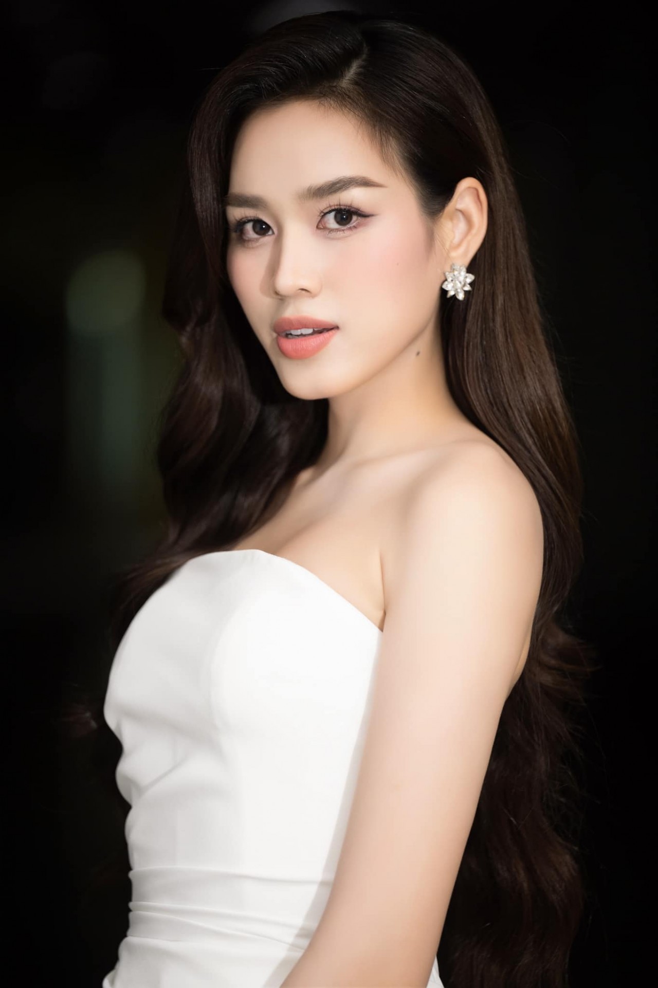 Hoa hậu Đỗ Thị Hà