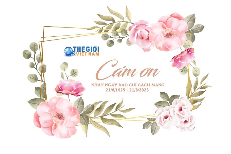 Báo Thế giới & Việt Nam cảm ơn!