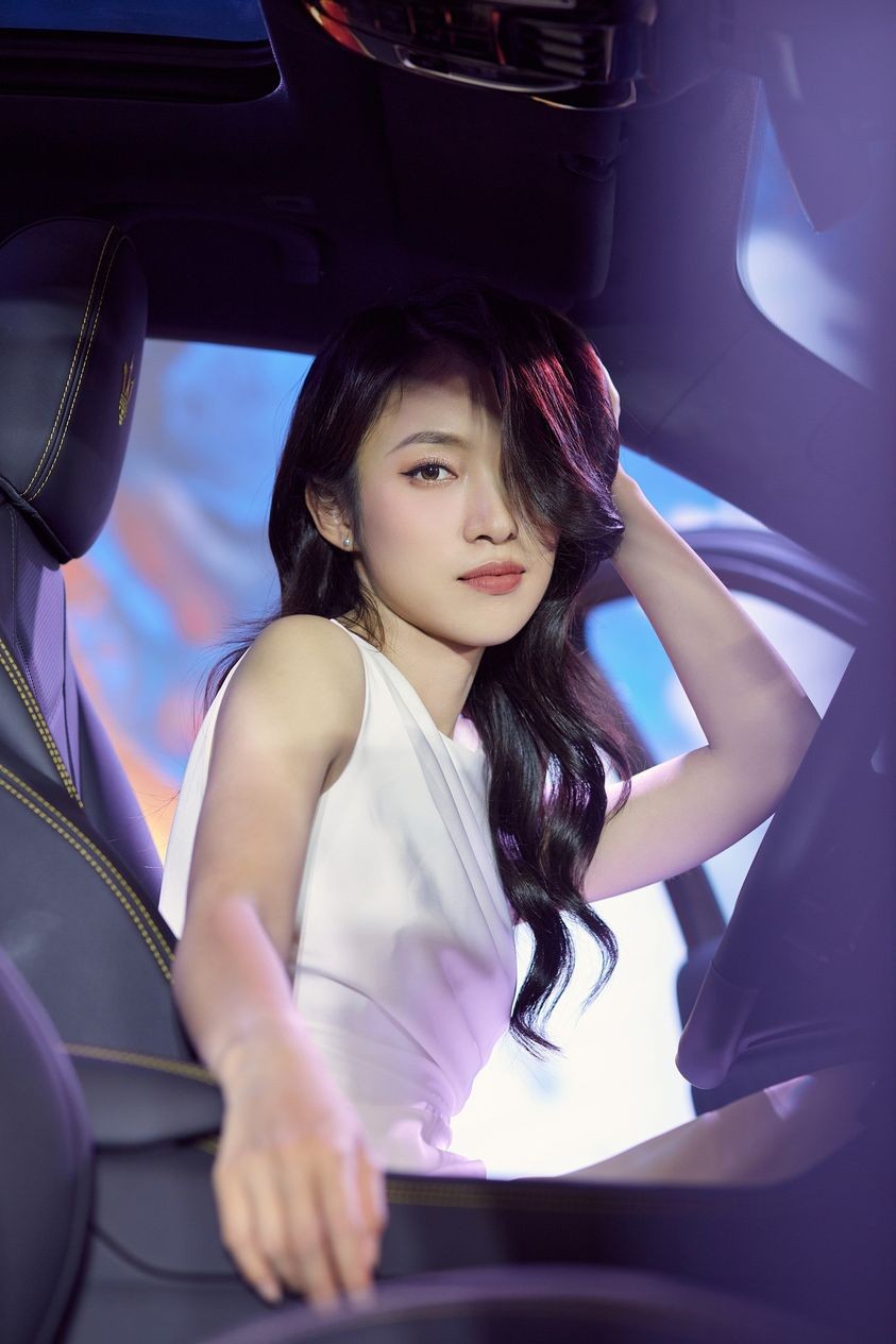 Sao Việt: Hồng Diễm