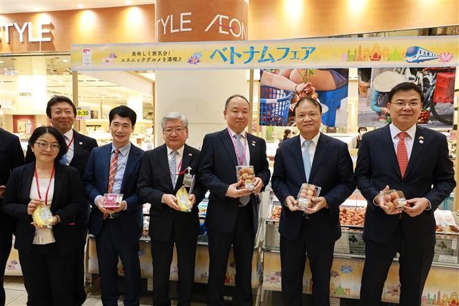 Thứ trưởng Bộ Công Thương Đỗ Thắng Hải, Đại sứ Việt Nam tại Nhật Bản Phạm Quang Hiệu cùng đại diện lãnh đạo Tập đoàn AEON giới thiệu các loại hoa quả Việt Nam tại Tuần hàng. Ảnh: Đức Thịnh - PV TTXVN tại Nhật Bản Thứ trưởng Bộ Công Thương Đỗ Thắng Hải, Đại sứ Việt Nam tại Nhật Bản Phạm Quang Hiệu cùng đại diện lãnh đạo Tập đoàn AEON giới thiệu các loại hoa quả Việt Nam tại Tuần hàng. Ảnh: Đức Thịnh - PV TTXVN tại Nhật Bản