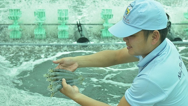 xuat khau ngay 24266 standard chartered du bao xuat khau cua viet nam dat 618 ty usd nam 2030 bat benh cho tom viet