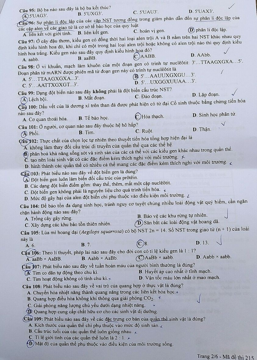 Đề thi chính thức môn Sinh học kỳ thi tốt nghiệp THPT 2023 Đề thi chính thức môn Sinh học kỳ thi tốt nghiệp THPT 2023
