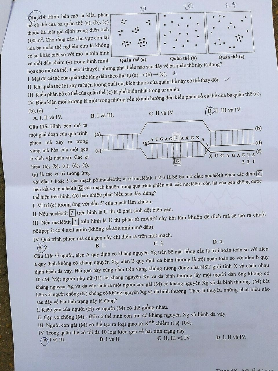 Đề thi chính thức môn Sinh học kỳ thi tốt nghiệp THPT 2023 Đề thi chính thức môn Sinh học kỳ thi tốt nghiệp THPT 2023