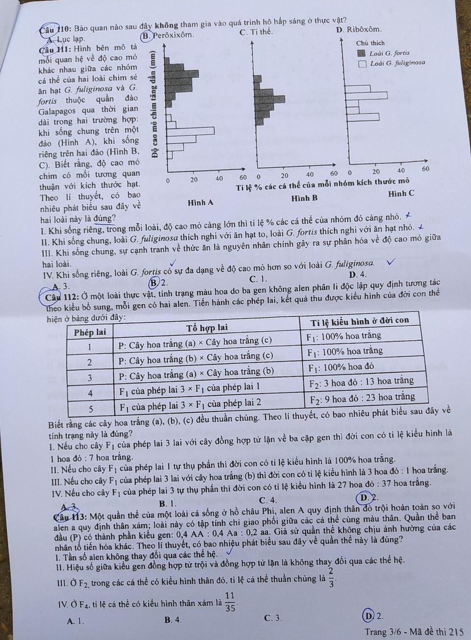 Đề thi chính thức môn Sinh học kỳ thi tốt nghiệp THPT 2023 Đề thi chính thức môn Sinh học kỳ thi tốt nghiệp THPT 2023