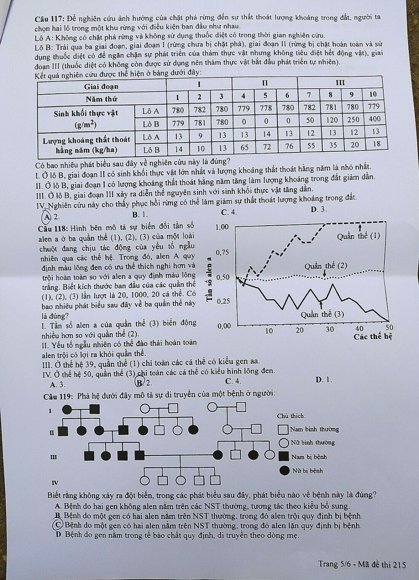 Đề thi chính thức môn Sinh học kỳ thi tốt nghiệp THPT 2023 Đề thi chính thức môn Sinh học kỳ thi tốt nghiệp THPT 2023