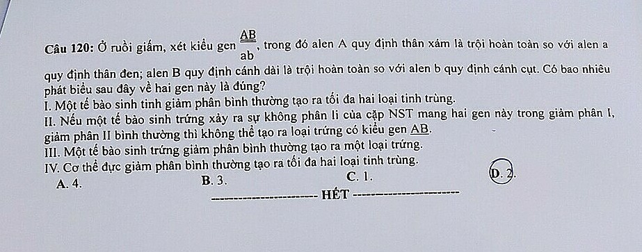 Đề thi chính thức môn Sinh học kỳ thi tốt nghiệp THPT 2023 Đề thi chính thức môn Sinh học kỳ thi tốt nghiệp THPT 2023
