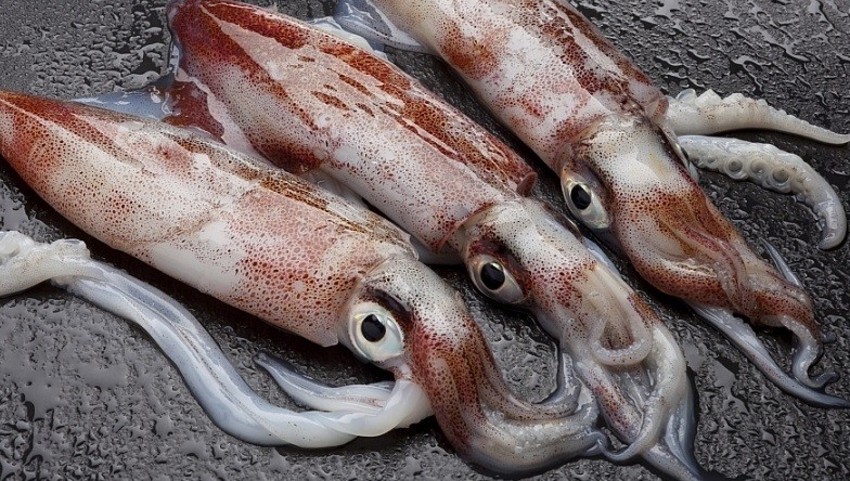 Xuất khẩu ngày 30/6-3/7: